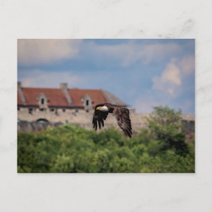 Cartão Postal Águia-careca passando por Fort Ticonderoga