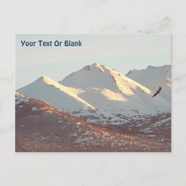 Cartão Postal águia-de-inverno (Frente)