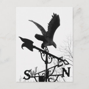 Cartão Postal Águia e Seta