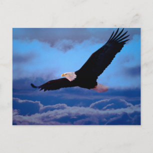 Cartão Postal Águia em Voo