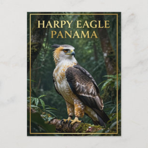 Cartão Postal 🦅 Águia Harpia Panamá Pássaro da Floresta Tropica