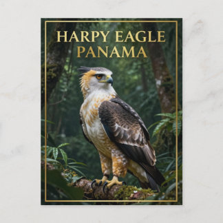 Cartão Postal 🦅 Águia Harpia Panamá Pássaro da Floresta Tropica
