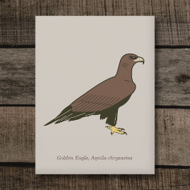 Cartão Postal Águia ouro