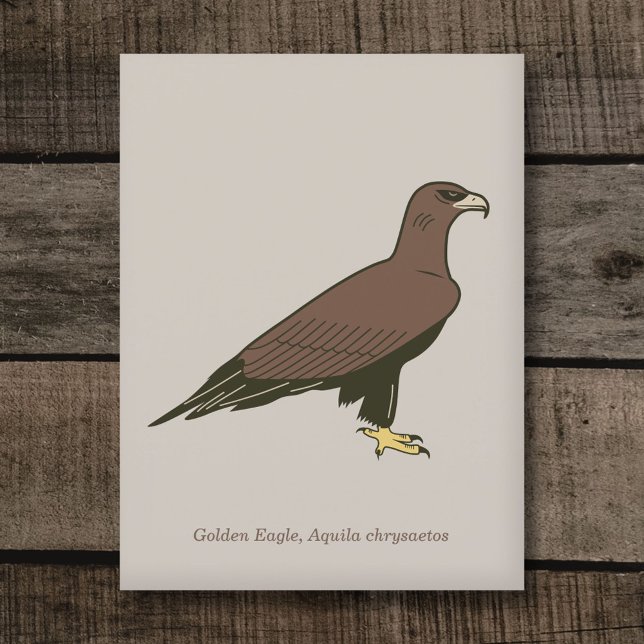 Cartão Postal Águia ouro (Golden Eagle Postcard)