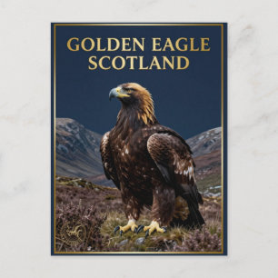 Cartão Postal 🦅 Águia-real Escócia Highland Ave