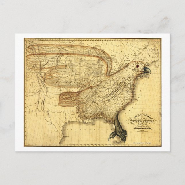 Cartão Postal Águia Superimposta aos Estados Unidos (Frente)