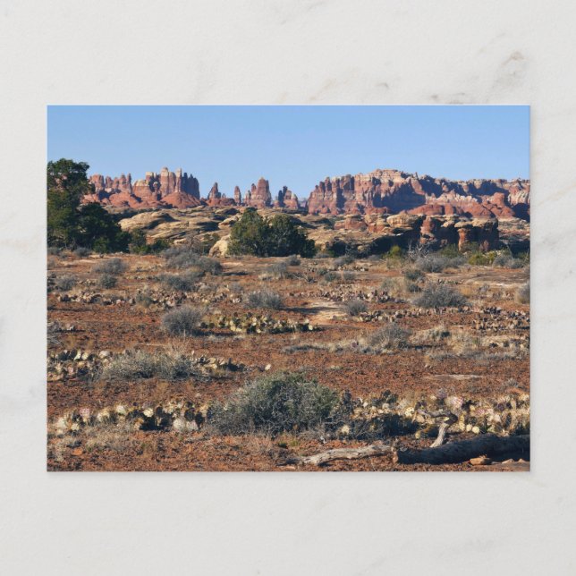 Cartão Postal Agulhas do Pothole Point Trail em Canyonlands (Frente)