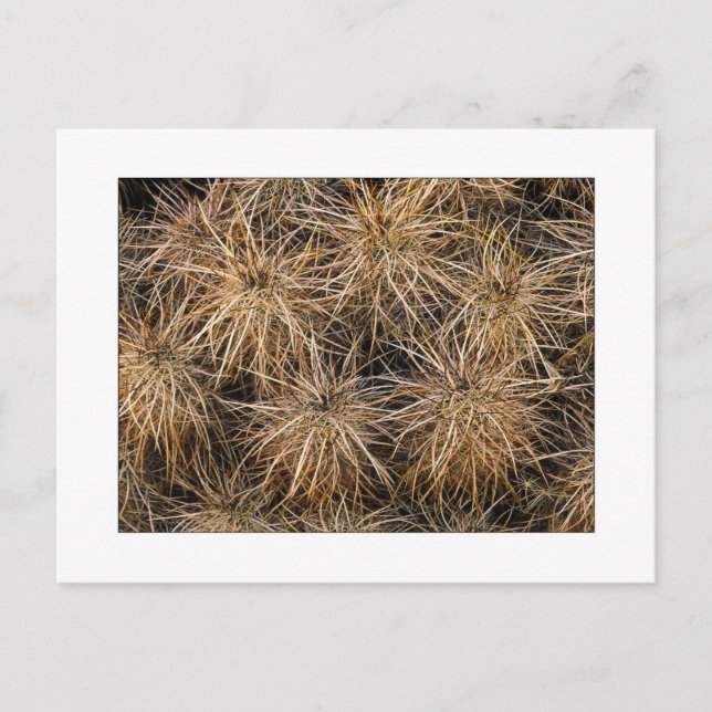 Cartão Postal "Agulhas e empilhamentos" (Frente)