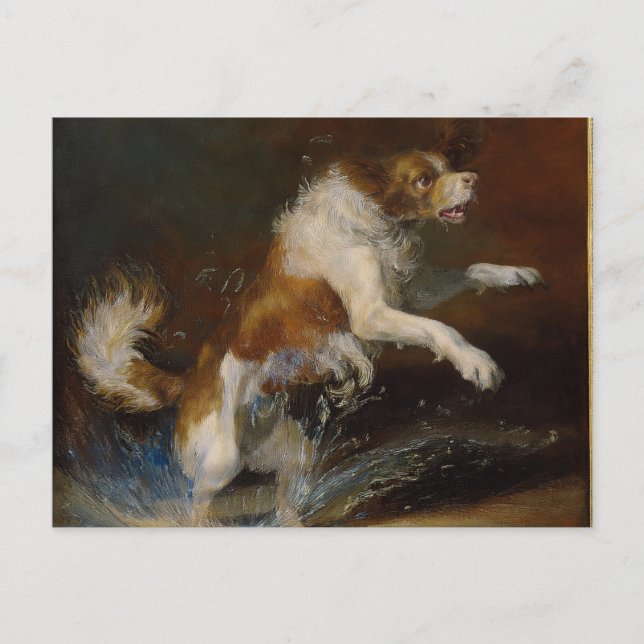 Cartão Postal AI: Cão molhado (Frente)