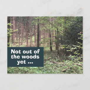 Cartão Postal Ainda Não Saímos da Floresta Quarentena na Naturez