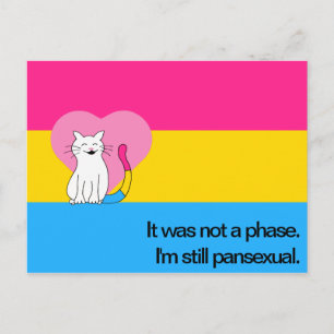 Cartão Postal Ainda sou um Gato Pansexual com Bandeira Pansexual