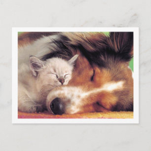 Cartão Postal Ain't Love Grand