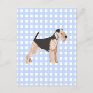Cartão Postal Airedale Terrier Blue Gingham