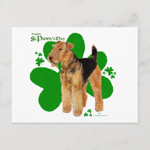Cartão Postal Airedale Terrier St Paddy