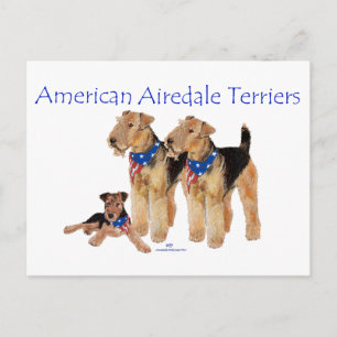 Cartão Postal Airedale Terriers Bandeira Americana