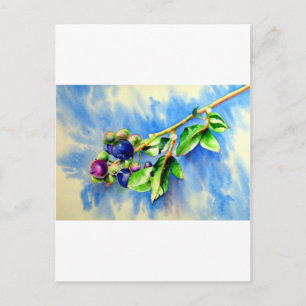 Cartão Postal Airelas