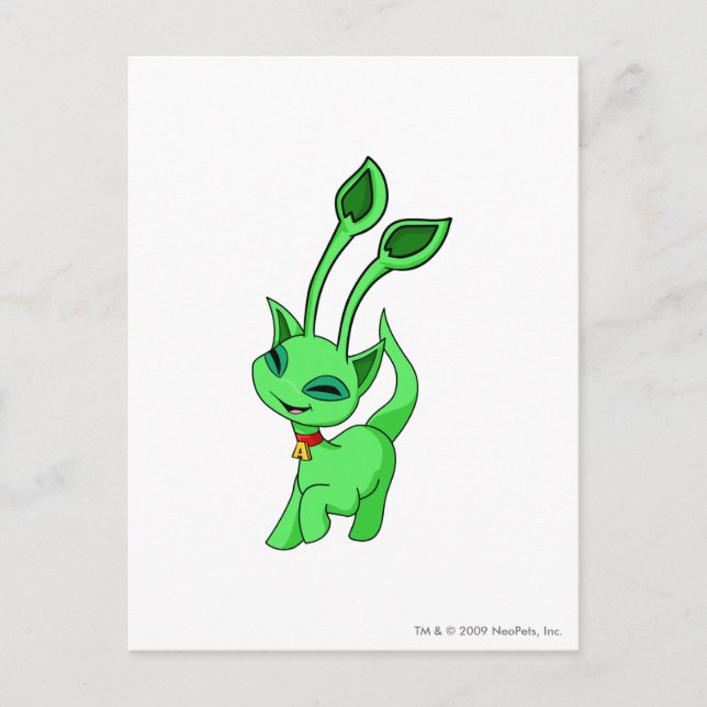 Cartão Postal Aisha Green (Frente)