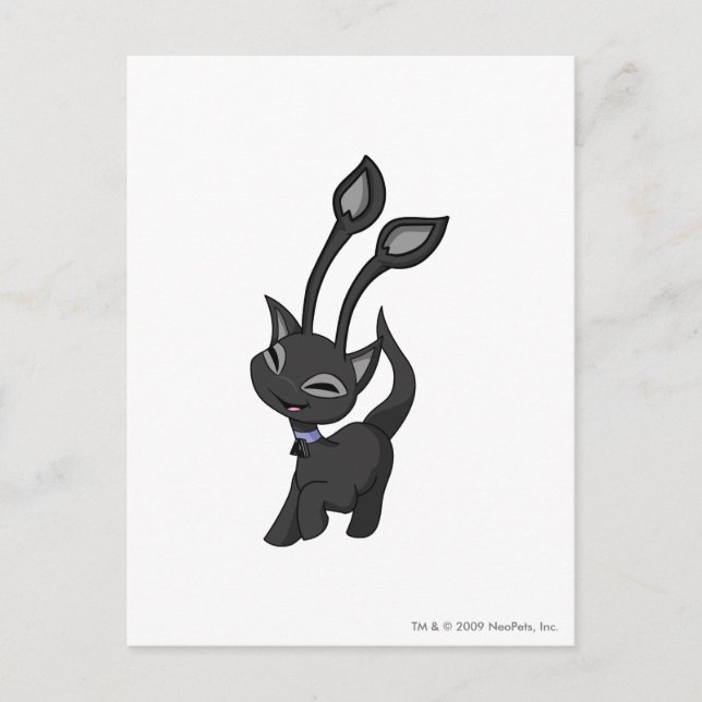 Cartão Postal Aisha Shadow (Frente)