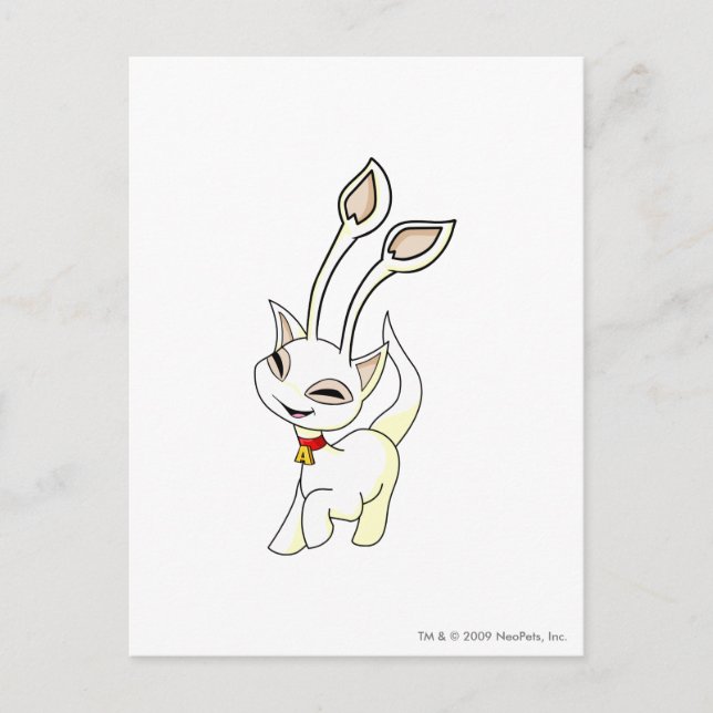 Cartão Postal Aisha White (Frente)