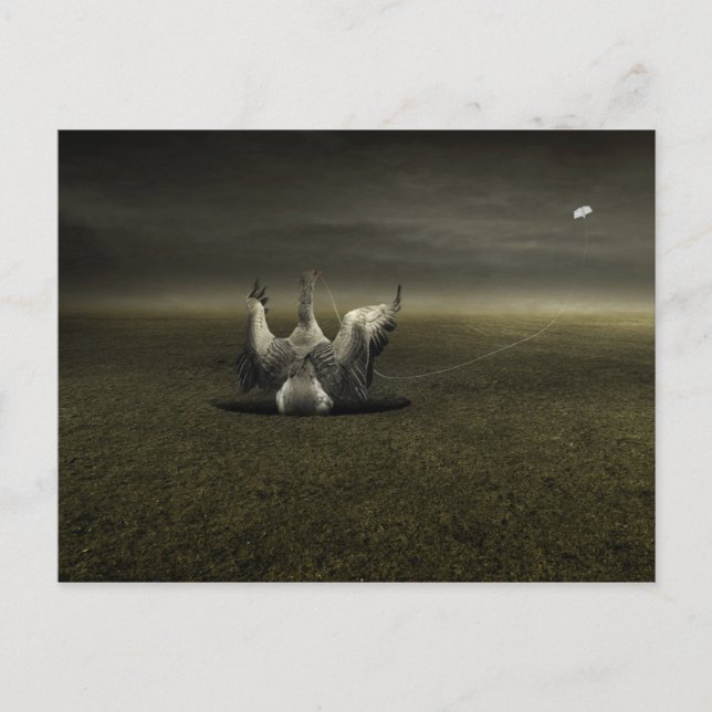 Cartão Postal Ajuda no caminho 2013 (Frente)