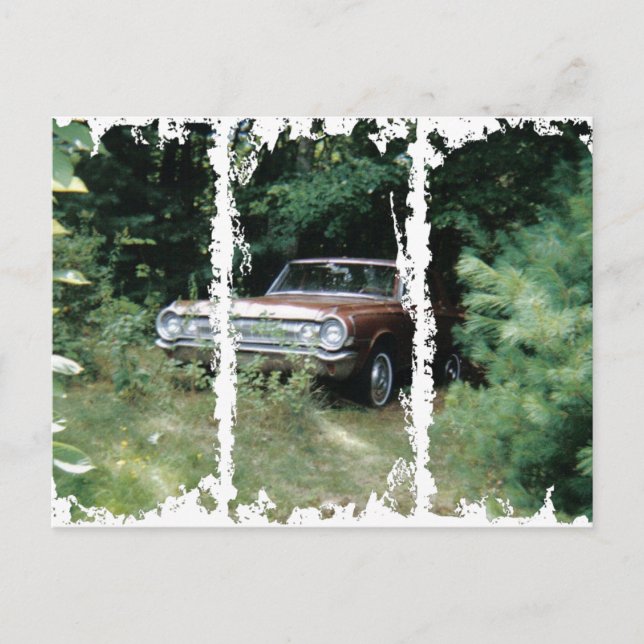 Cartão Postal Ajudei A Salvar A Águia De Goldenha Da Velha Praia (Frente)