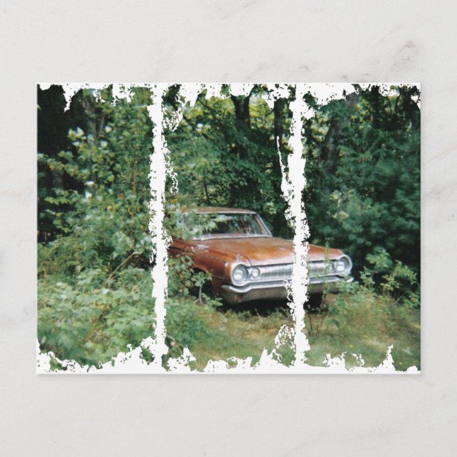 Cartão Postal Ajudei A Salvar A Águia De Goldenha Da Velha Praia (Frente)