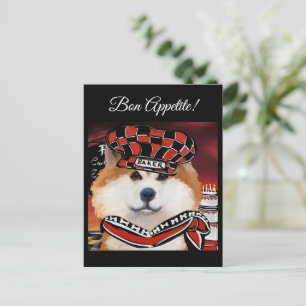 CARTÃO POSTAL AKITA     