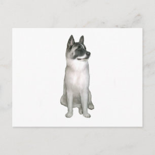 Cartão Postal Akita (A) - (máscara negra)