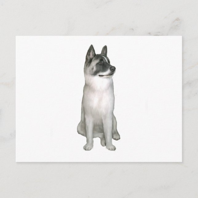 Cartão Postal Akita (A) - (máscara negra) (Frente)