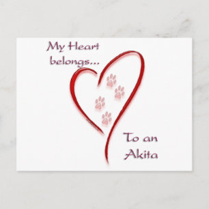 Cartão Postal Akita Heart Pertence