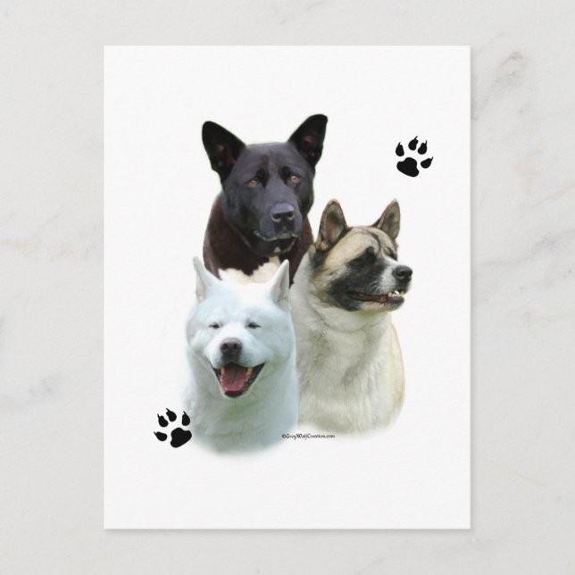 Cartão Postal Akita Trio (Frente)