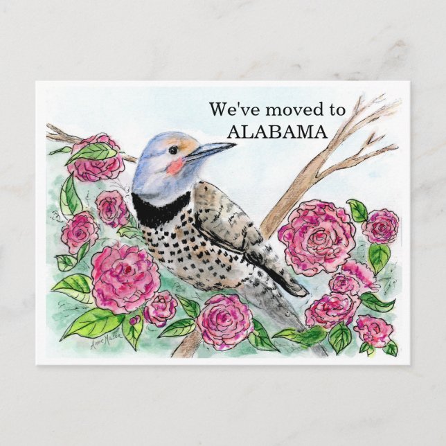 Cartão Postal Alabama (Frente)