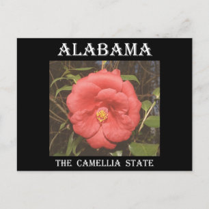 Cartão Postal Alabama Camellia (Vermelho)