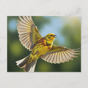 Cartão Postal Alabama State Bird Yellowhammer