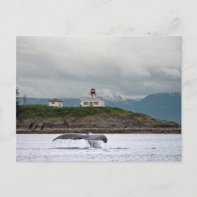 Cartão Postal Alasca (Frente)