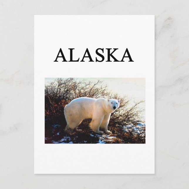 Cartão Postal alaska (Frente)