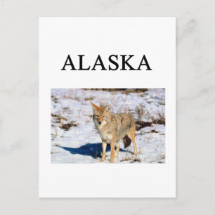 Cartão Postal alaska