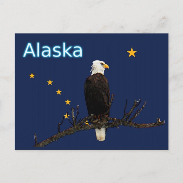 Cartão Postal Alaska Eagle E Flag (Frente)