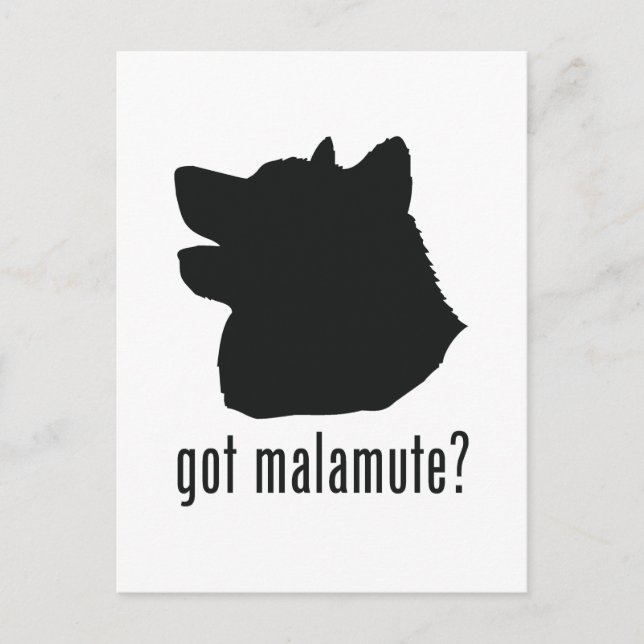 Cartão Postal Alaskan Malamute (Frente)