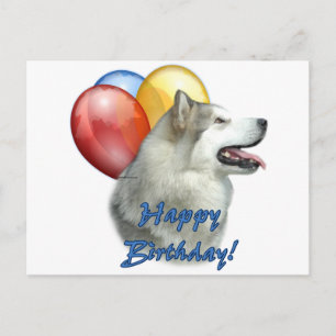 Cartão Postal Alaskan Malamute Feliz Balões de Aniversário