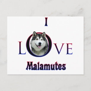 Cartão Postal Alaskan Malamute I Love