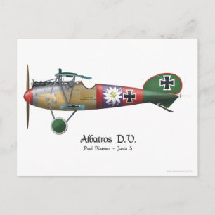 Cartão Postal Albatros D.V. ww1 Plano de Combatente alemão Bäume
