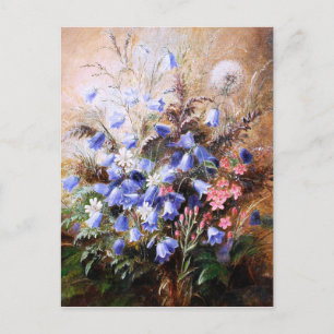 Cartão Postal Albert Dürer Lucas: Harebells e Centaury