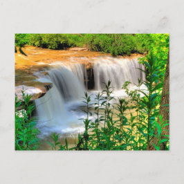 Cartão Postal Alberts Falls, Thomas, Virgínia Ocidental