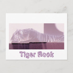 Cartão Postal Albino Tiger