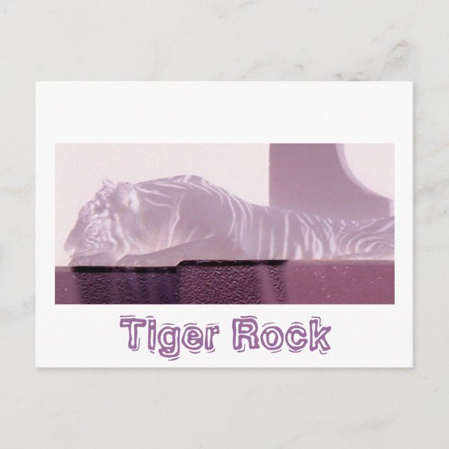 Cartão Postal Albino Tiger (Frente)