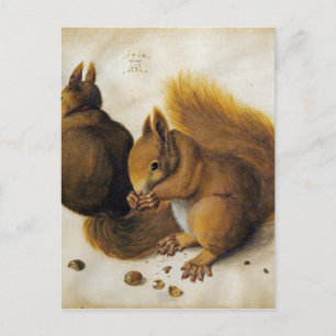 Cartão Postal Albrecht Durer - Dois Esquilos, Um Comendo Um Haze