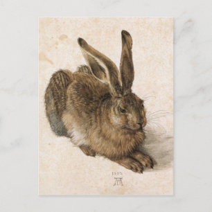 Cartão Postal Albrecht Dürer - Junger Hase (Young Hare), 1502