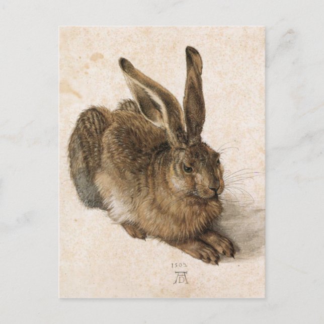 Cartão Postal Albrecht Dürer - Junger Hase (Young Hare), 1502 (Frente)
