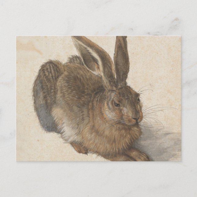 Cartão Postal Albrecht Dürer - Lebre (Frente)